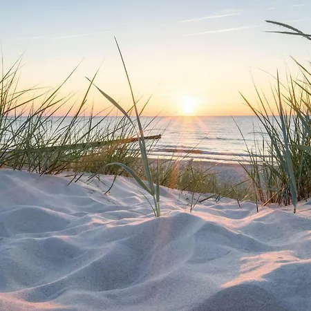 Apartment White Pearl 2.15