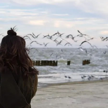 Apartment White Pearl 2.15