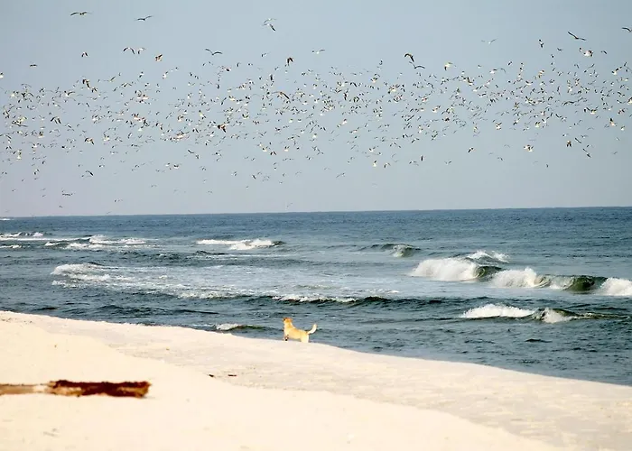 White Pearl 2.15 Timmendorfer Strand